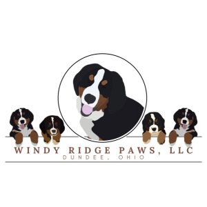 Windy Ridge Paws, LLC,  Breeder